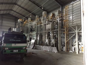 柬埔寨大米加工廠 優(yōu)質(zhì)稻米產(chǎn)業(yè)鏈與食品經(jīng)營(yíng)商機(jī)解析